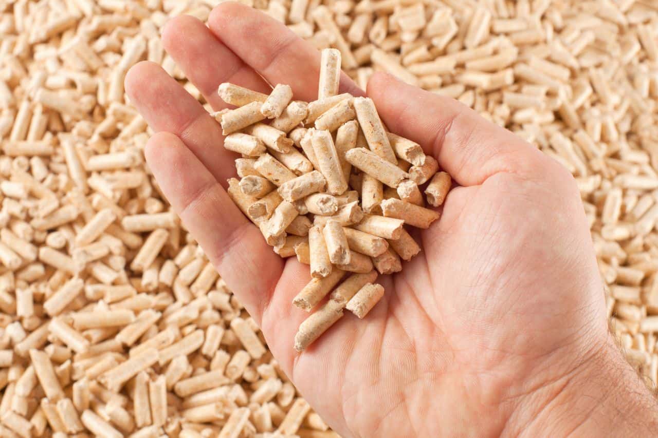 Ile kosztuje pellet w lutym 2024 roku?