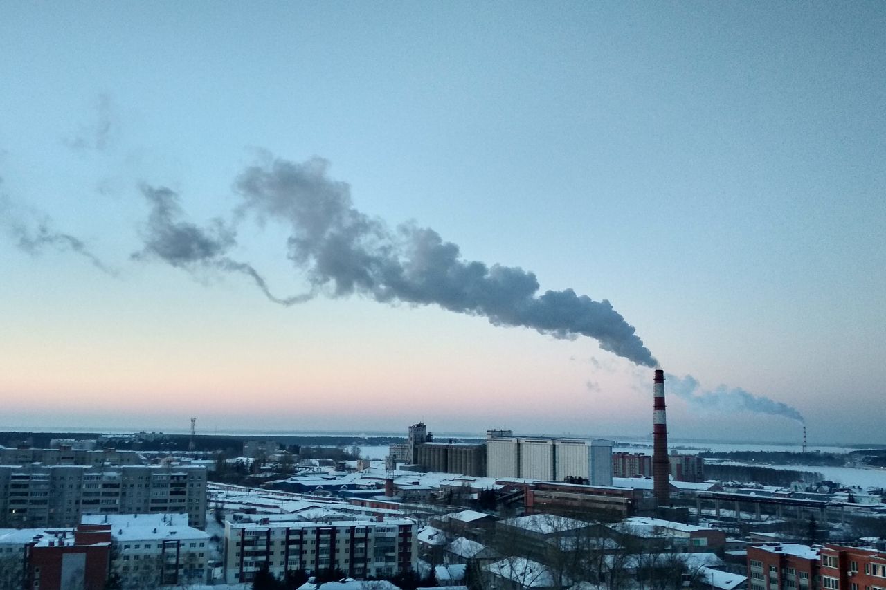 Pellet i brykiet drzewny z pomocą w walce ze smogiem